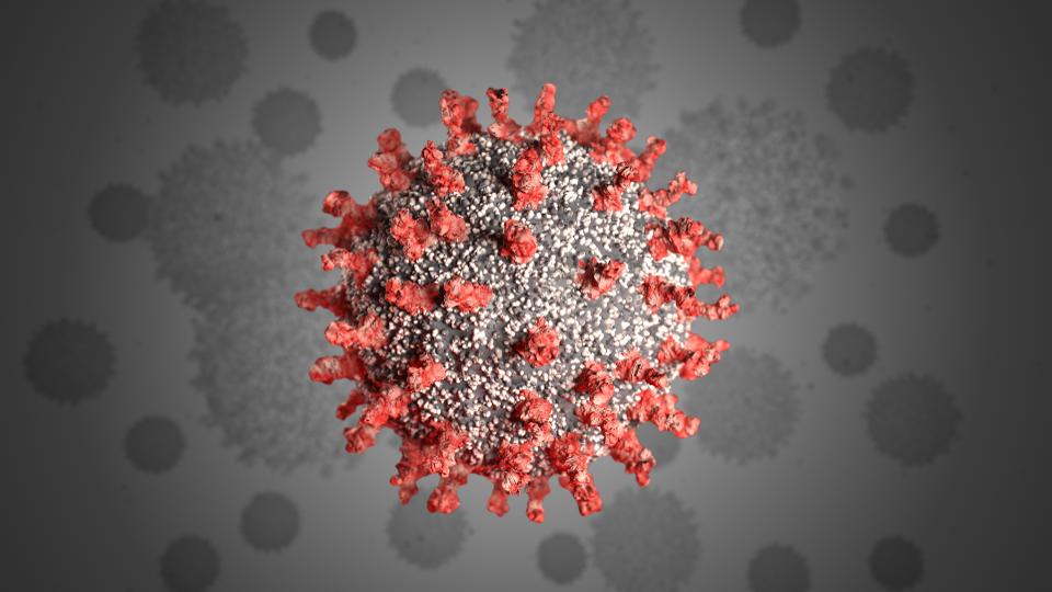 Corona virus impacts